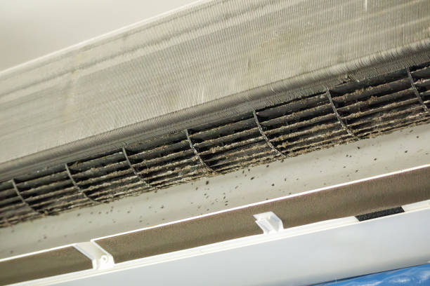Best Best Air Duct Cleaning Company  in Conrad, IA
